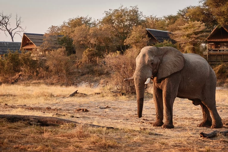 Savute Elephant Lodge, A Belmond Safari, Botswana – Chobe National Park | Exclusive Tours saf-sel-ext15