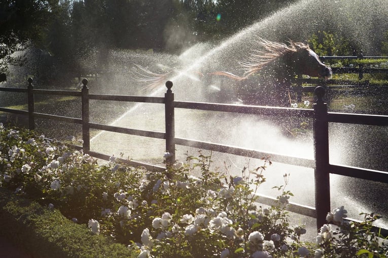Selman Marrakech, Maroko – Marrakéš | Exclusive Tours haras