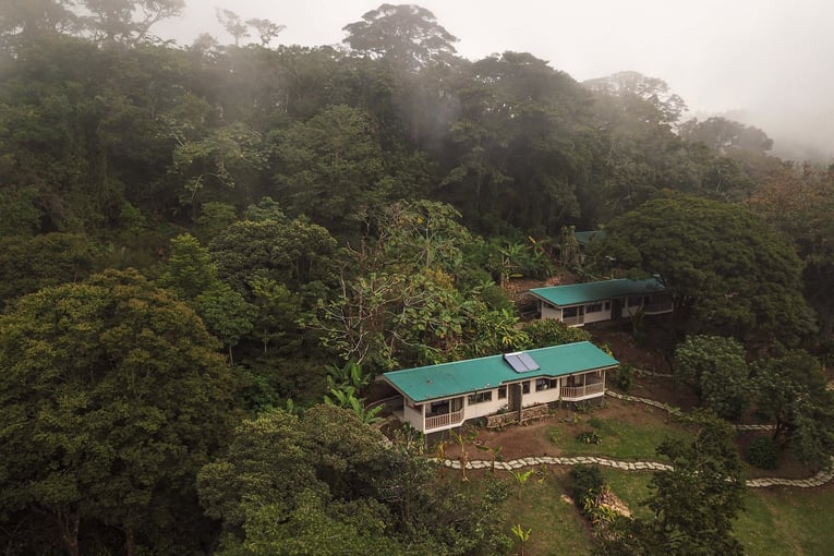 Senda Monteverde 26-At-the-Foot-of-the-Cloud-Forest