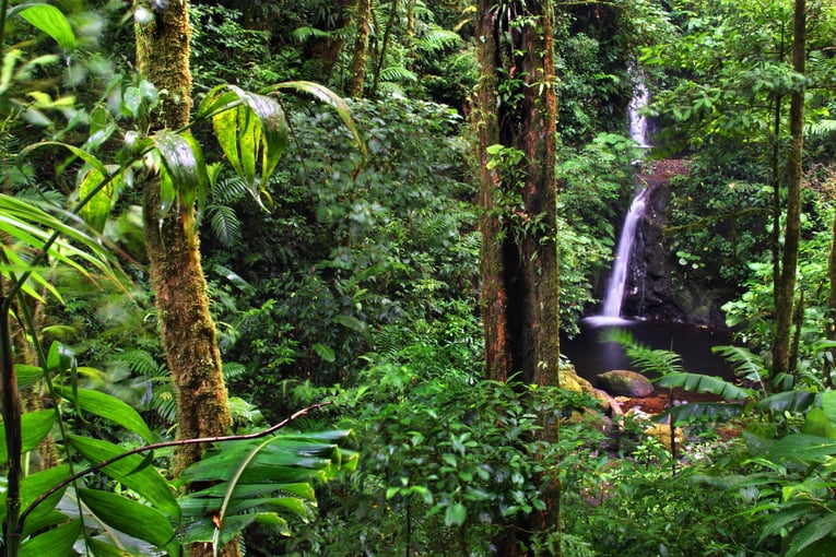 Senda Monteverde 5-Experience-the-Cloud-Forest