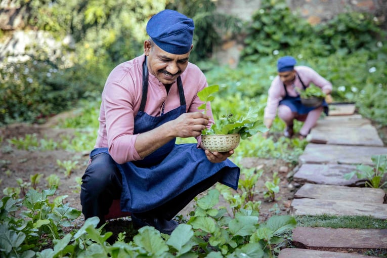 Six Senses Fort Barwara, Indie – Rajasthan Herb Garden Visit with Chef (2)