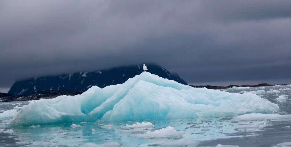 Spitsbergen Highlights img-7034.jpg-1