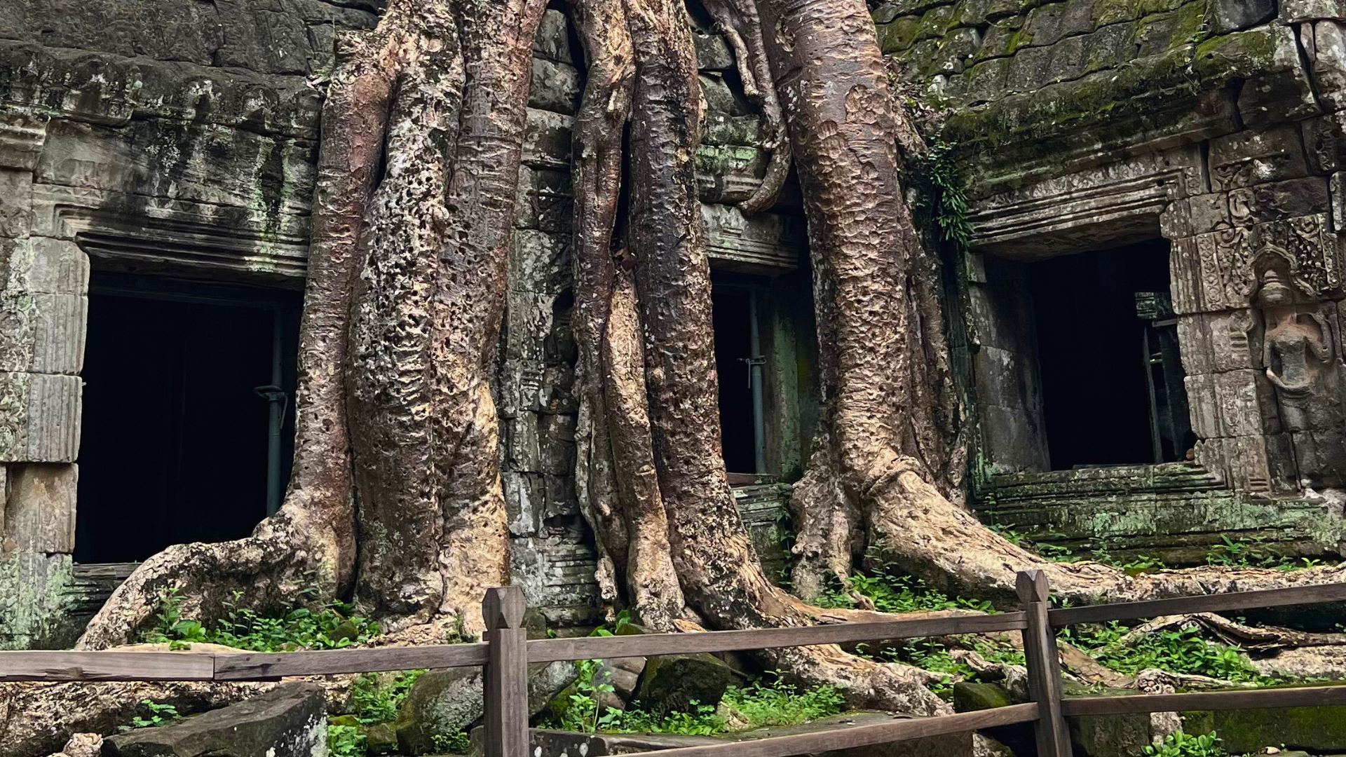 Ta Prohm - Kambodza - Petra