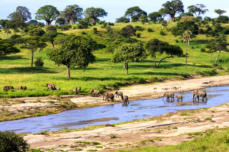 Tanzanie shutterstock_379974949