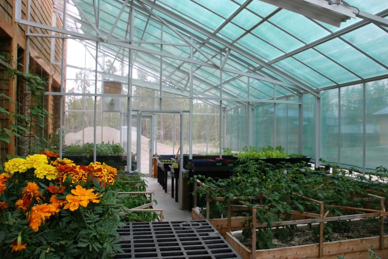 The Chilko Experience, Kanada – Britská Kolumbie Greenhouse+1