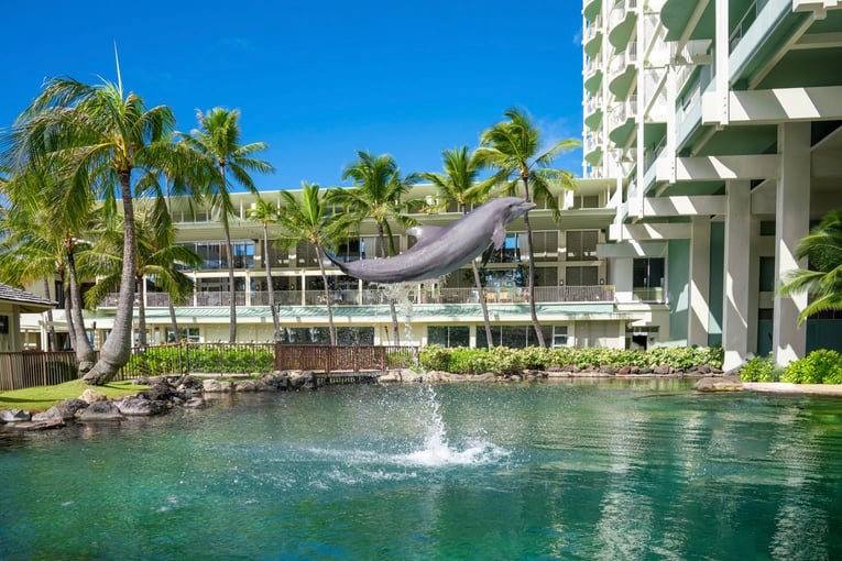 The Kahala Hotel & Resort 1542647693-dolphin_desktop-2