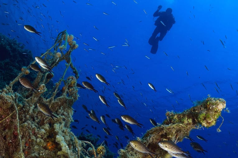 The Romanos klxlc-scuba-diving-2391-hor-clsc