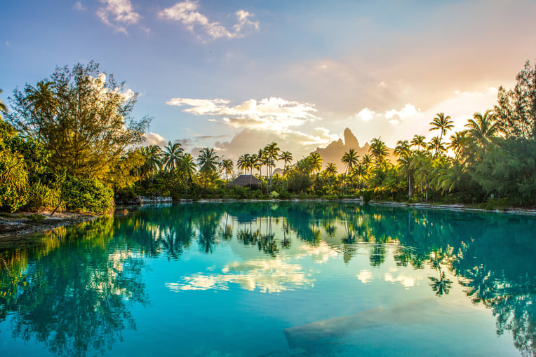 The St. Regis Bora Bora Resort bobxr-lagoonarium-3755-hor-clsc