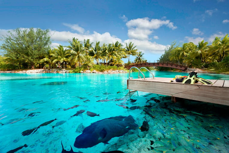 The St. Regis Bora Bora Resort bobxr-lagoonarium-5642-hor-clsc
