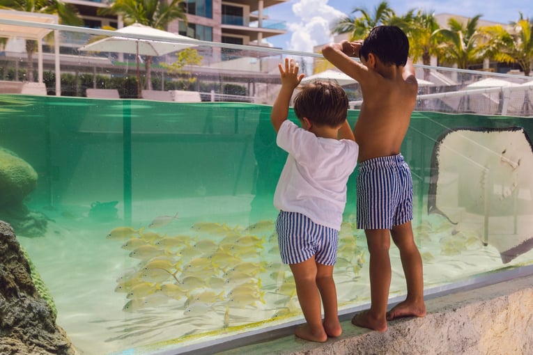 The St. Regis Longboat Key Resort, USA – Florida | Exclusive Tours xr-srqls-lagoon-explorers-21555_Wide-Hor