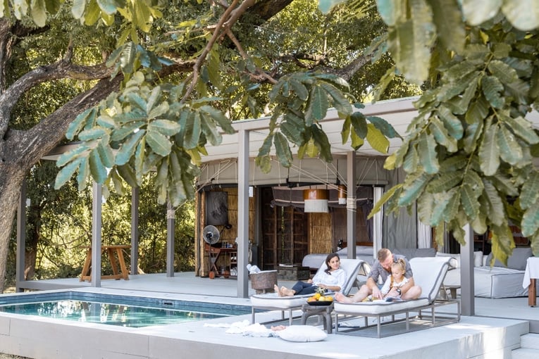 bazén, terasa, strom