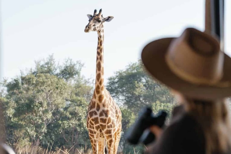 žirafa, žena v klobouku