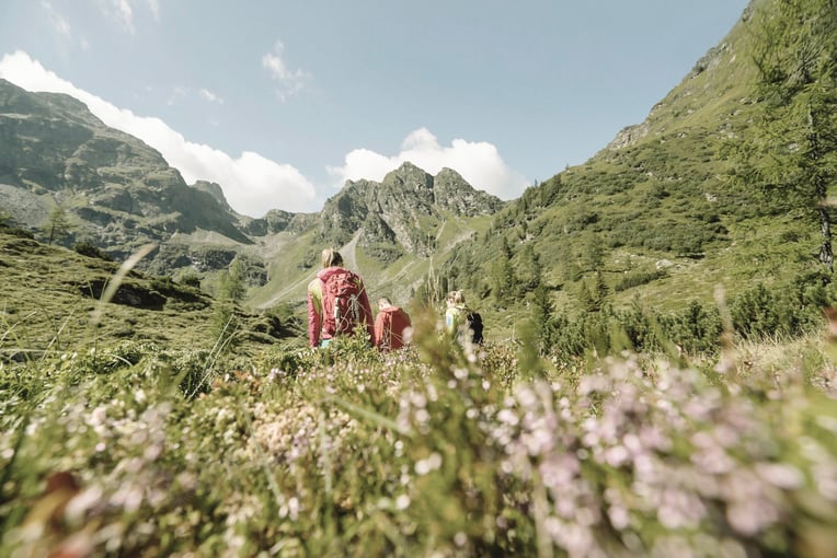 Wellnesshotel Höflehner Wandern-beim-Hoeflehner_reference