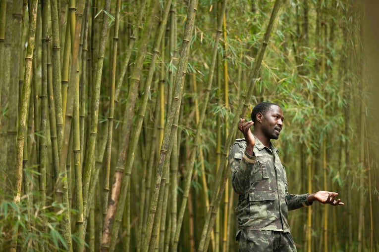 Wilderness Bisate Lodge, Rwanda – Volcanoes National Park | Exclusive Tours wilderness-bisate-purpose