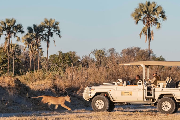 Xigera Safari Lodge, Botswana – Moremi Game Reserve | Exclusive Tours 4-xigera-signature