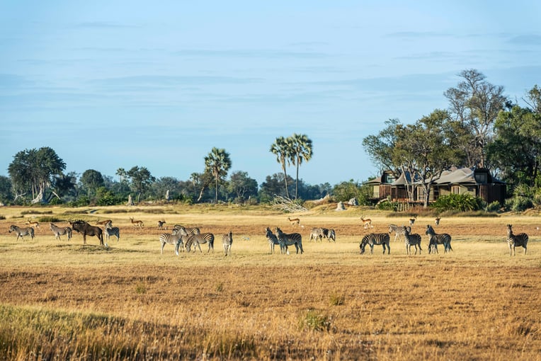 Xigera Safari Lodge, Botswana – Moremi Game Reserve | Exclusive Tours 5-xigera-signature