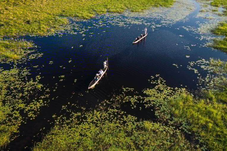 Xigera Safari Lodge, Botswana – Moremi Game Reserve | Exclusive Tours dji_0496