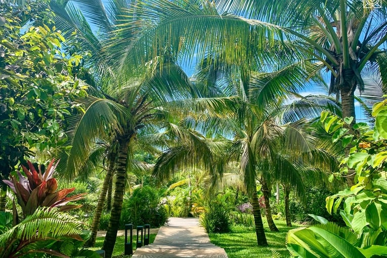 Zuri Zanzibar 2020-09-14-07-33-00-6b7df28ee50637984cf835a596a0a945