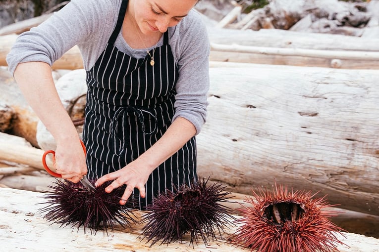 nimmo bay nimmo-culinary-chef-preparing-uni