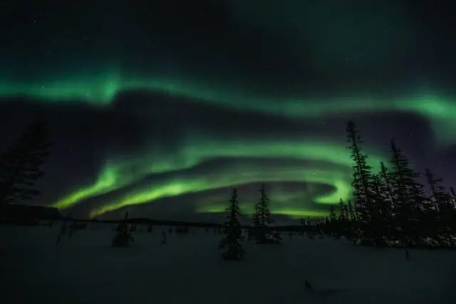 polarni-zare